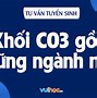 Khối C03 Học Ngành Gì