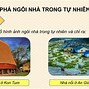 Mĩ Thuật 7 Bài 3 Chân Trời Sáng Tạo